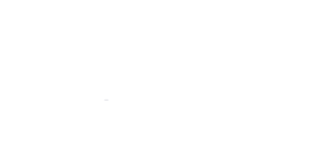 cropped logo palma nautic white.png